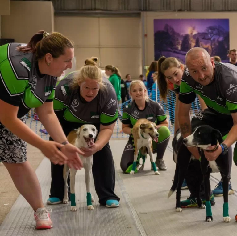 cik9 flyball team pic