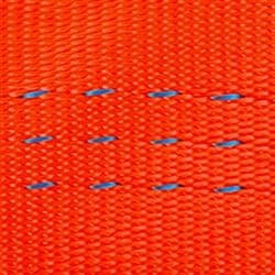 Orange-webbing cik9