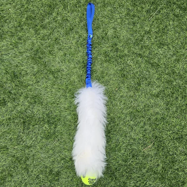 Royal-Blue-ram-sheepskin-tennis-ball-tug-dog-toy-puppy-flyball