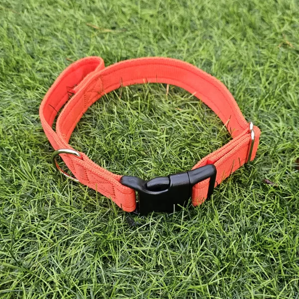 Cushion Webbing Collar With Handle CIK9 Dog Tactical Gear Orange