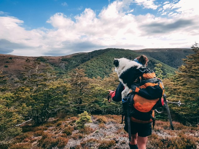 outdoor apparel for dog owners