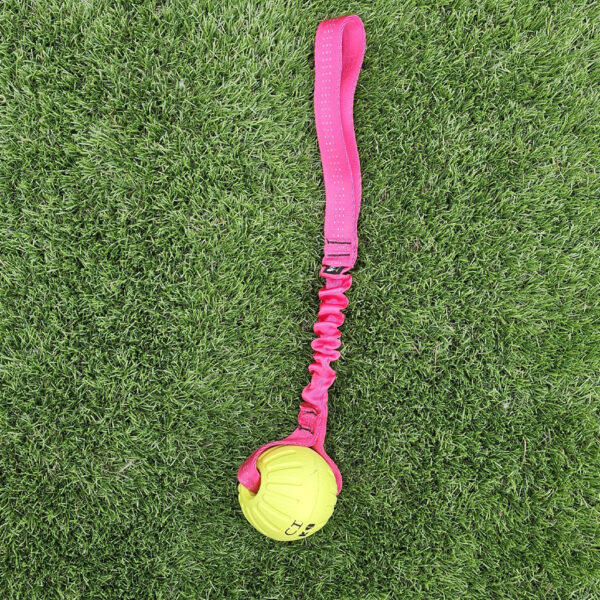 Pocket Sized Durafoam Ball Tug - Image 11