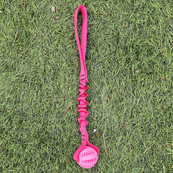 Pocket Sized Mini Treat Ball - Image 6
