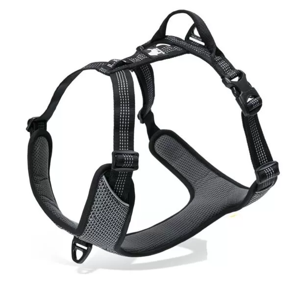 Truelove Mountain Harness - Image 2