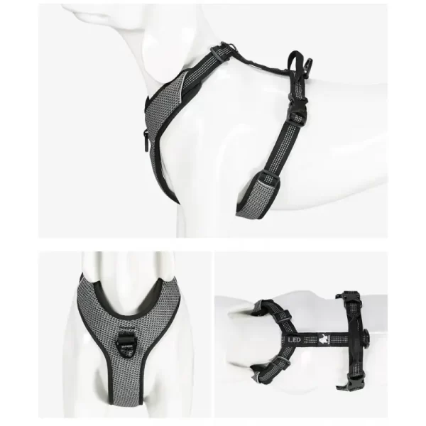 Truelove Mountain Harness - Image 9