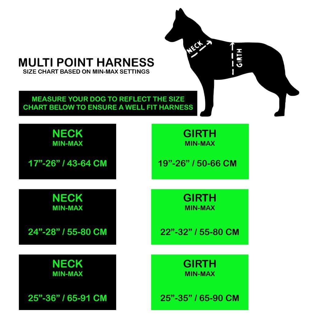Blue Multi Point Y Harness (Anti-Pull)