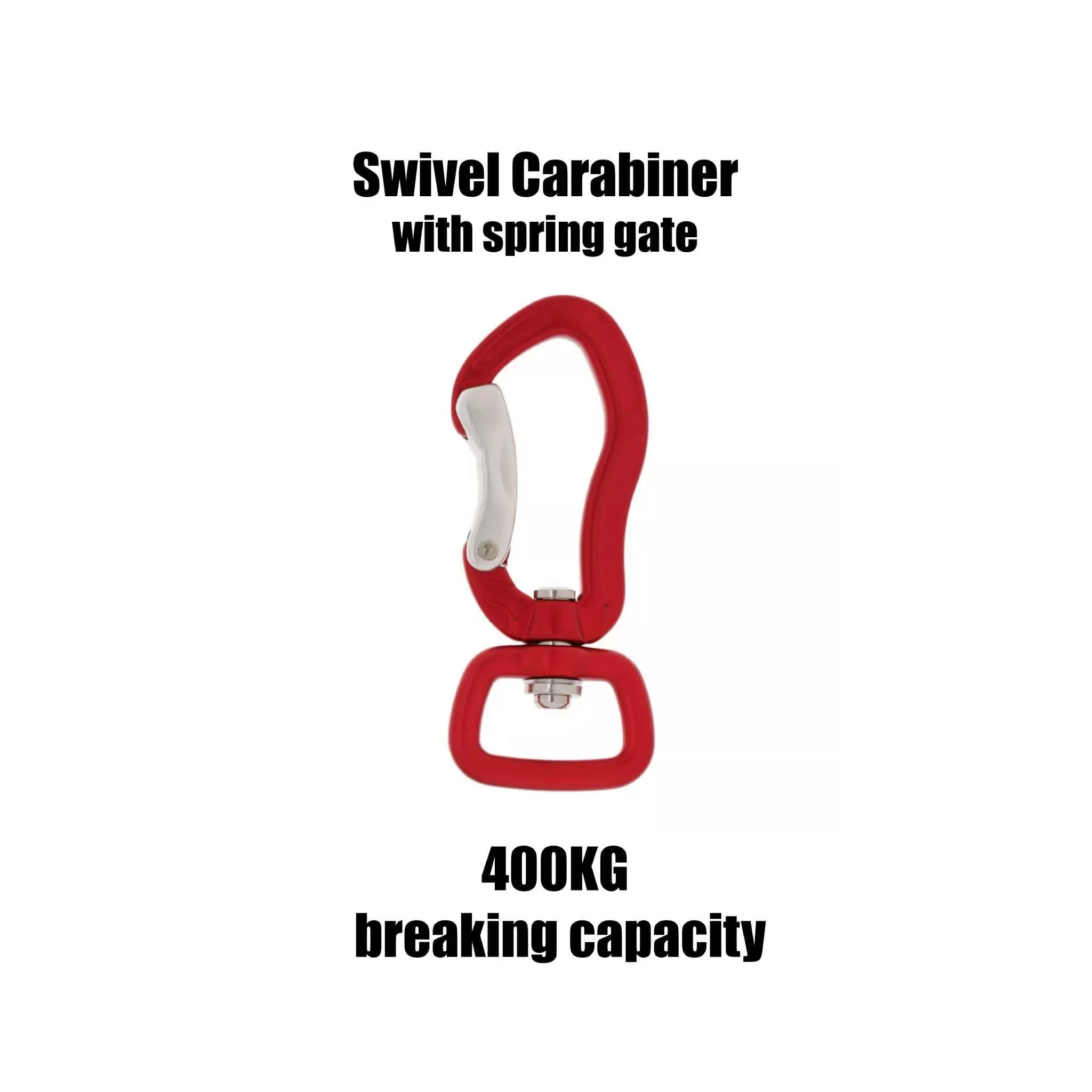 Bungee Lead with Carabiner