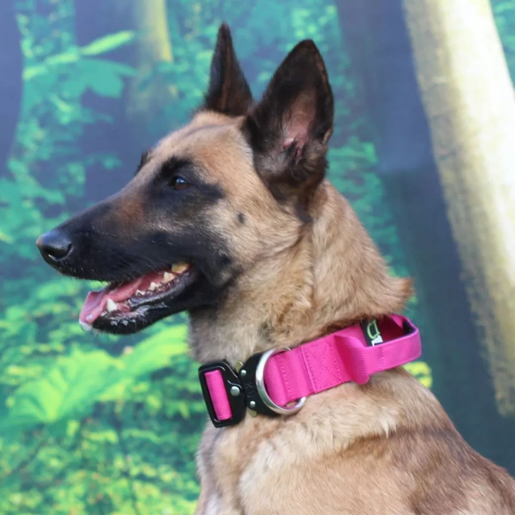 Pink Tactical/Service Dog Collar with Handle