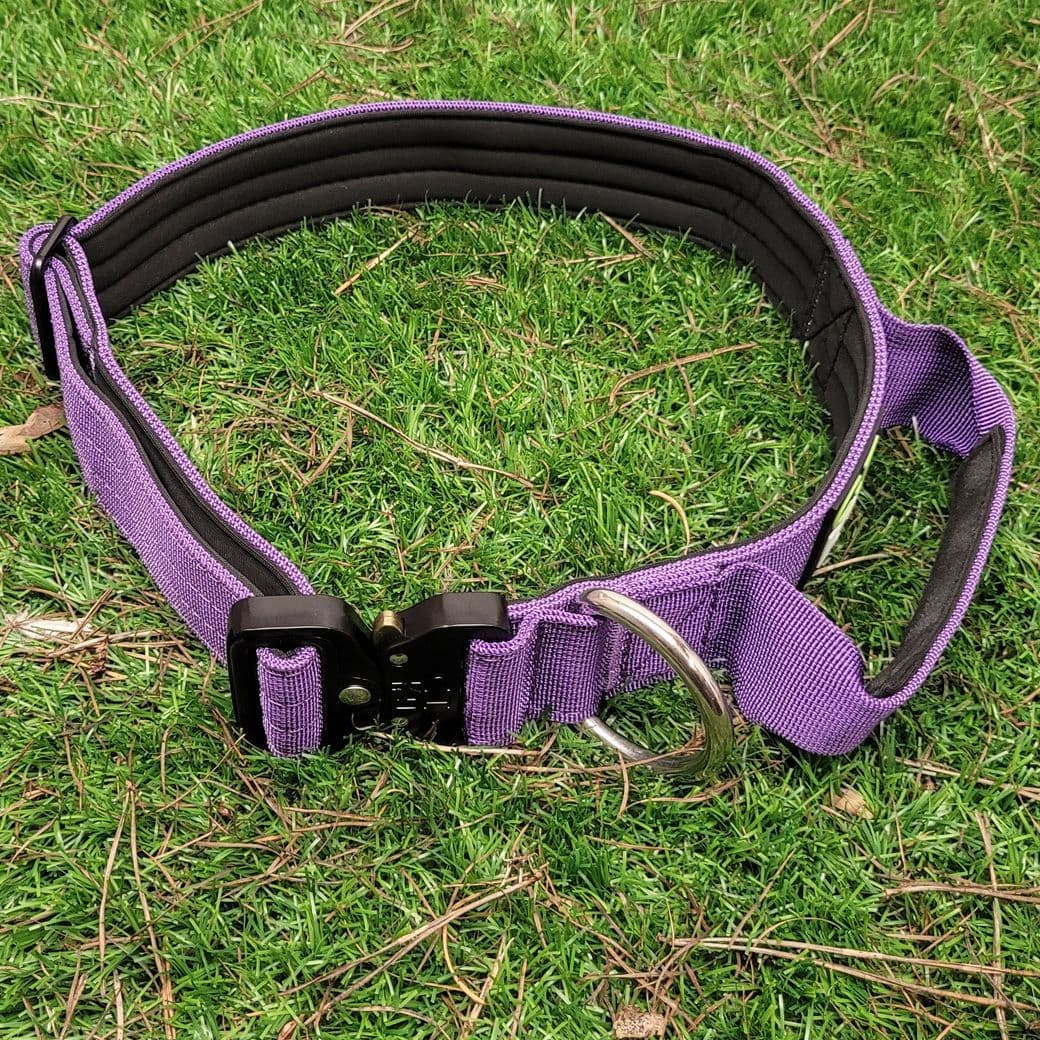 Purple Tactical/Service Dog Collar with Handle